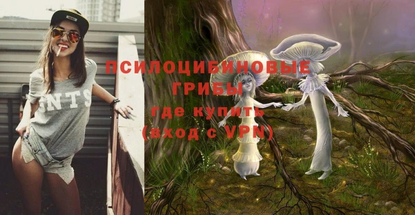 дживик Алексин
