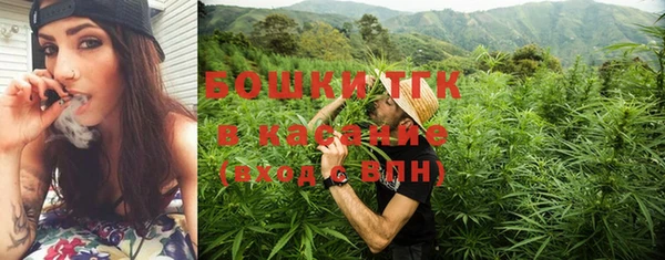 стафф Семилуки