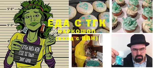 тгк Абаза