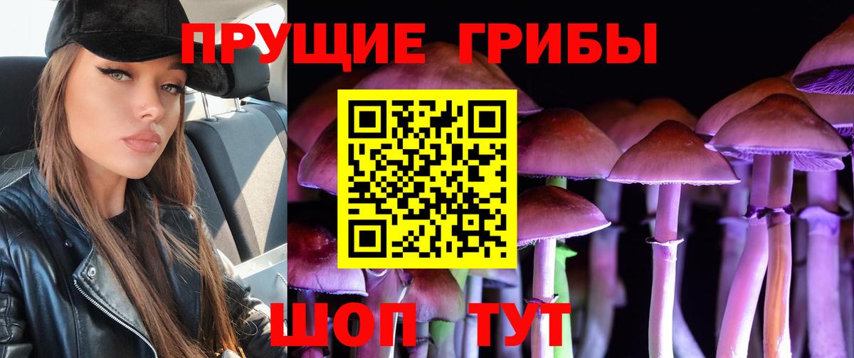 Елизово  Галлюциногенные грибы GOLDEN TEACHER  Вход с VPN 